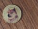 Dogecoin