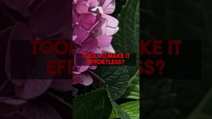 Effortless Perfect Garden: AI Step-by-Step Guides at gardenplanbyai.com