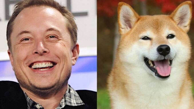 Elon Musk and Dogecoin: How the Billionaire Became the 'Dogefather' Elon Musk and Dogecoin: How the Billionaire Became the 'Dogefather'