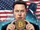 Elon Musk bitcoin