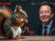 Elon Musk’s tweet reawakens Peanut the Squirrel (PNUT) memecoin