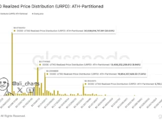 Here’s Why $0.18, $0.21 & $0.36 are Key Levels to Monitor for the DOGE Price Rally
