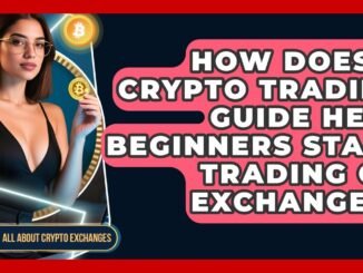 How Does a Crypto Trading Guide Help Beginners Start Trading on Exchanges?
