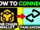 How To Connect BNB Chain Wallet to PancakeSwap (2025) - Step by Step