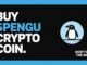 How to Buy Pudgy Penguins Token ($PENGU) | Step-by-Step Crypto Guide 2025