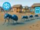 Jack Ma-backed Ant Group to adopt USDC for its blockchain platform to power cross-border payments, crypto transactions