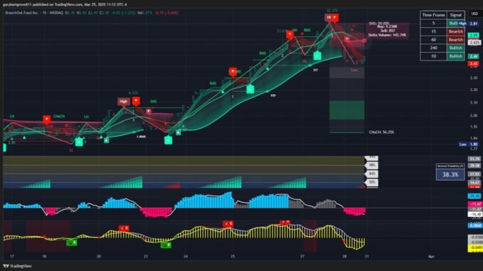 Live Stream Crypto Trading For Beginners. How To Make Money