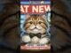 Meet the AI Cat Anchor: Your New Source for Breaking News!🐱🐾🙀#shorts #viralshorts #yputubeshorts