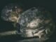 Military AI contracts awarded to Anthropic, OpenAI, Google, and xAI