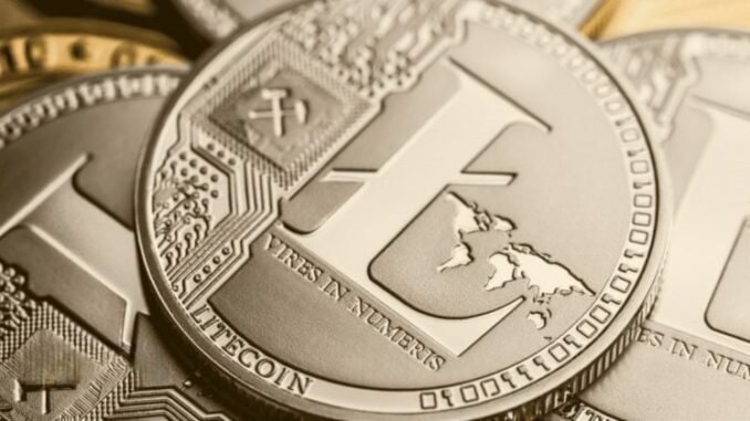 Nasdaq-listed MEI Pharma launches $100M Litecoin treasury plan, stock rockets 50%