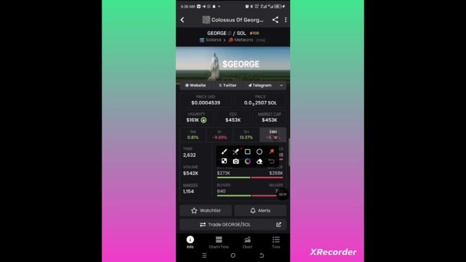 QARIN BAYANI AKAN YANDA AKE AMFANI DA DEX SCREENER