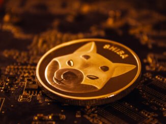 Shiba Inu price outlook as transactions and burn rate jump