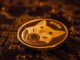 Shiba Inu price outlook as transactions and burn rate jump