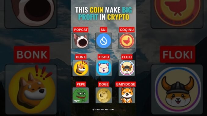 This Coin Make Big Profit In Crypto.....#crypto #cryptotrading #cryptocurrency #babydogecoin #kishu