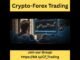 Ultimate Guide to Crypto and Forex Trading