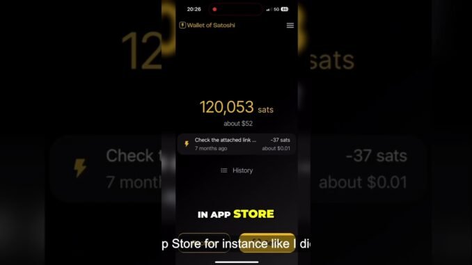 Unlock Bitcoin Lightning: Satoshi Wallet's Simple Secrets REVEALED!