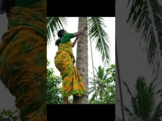 WHAT IF NO ONE HELP US!  #funny #veo3 #malayalam #gemini #ai #news #livekerala