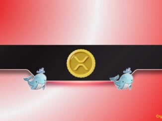 Whales Bought the XRP Dip While DOGE Hits Key Accumulation Zone: Details