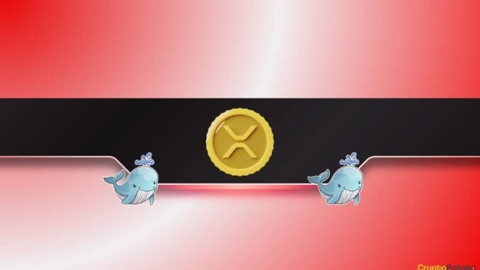 Whales Bought the XRP Dip While DOGE Hits Key Accumulation Zone: Details