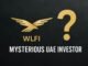 Who's the Mysterious UAE Investor in Trump's WLFI & How Does It Highlight TOKEN6900's Transparent Approach?