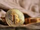 WisdomTree Bitcoin ETF Records Zero Inflows: Market Sentiment Shifts to Cautious Stance