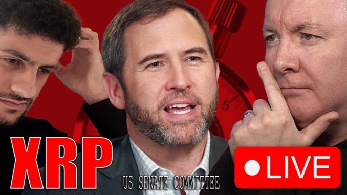 XRP Ripple LIVE Senate Brad Garlinghouse - FROM WALL STREET TO WEB3 - Martyn Lucas Investor