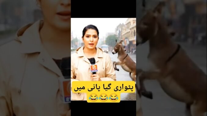 ai viral video | viral ai news #shortsfeed #funnyclips #viralaicontent #shortsfeed #shorts #ainews