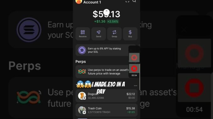 how to trade meme coins#reels #memes #memecoin #dexscreener #phatom #wallet #btc #crpto