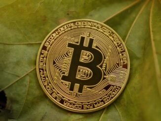 После $100 млн убытков: BTC-трейдер открывает новые позиции
