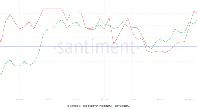 Bitcoin Supply In Profit