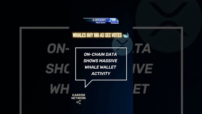 🚨 XRP ALERT: #KareemNetworkXRP #XRP #Ripple #XRPNews #XRPAlert #CryptoNews #XRPArmy #Shorts