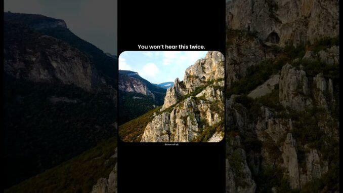 #dexscreener #cryptocurrency #solanamemecoin #stockmarket #crypto #memecoin #rugpull