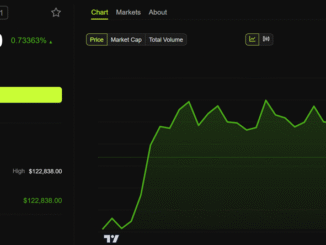 Bitcoin (BTC) Price Performance