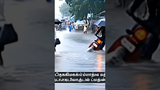 AI news reader comedy