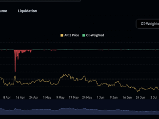 API3 shorts in focus