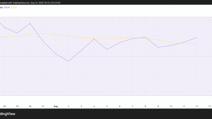 BCH Price Holds Steady During Market Slide — What Next BCH RSI.