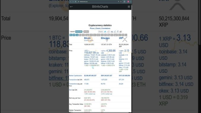 Best website for crypto market study for beginners