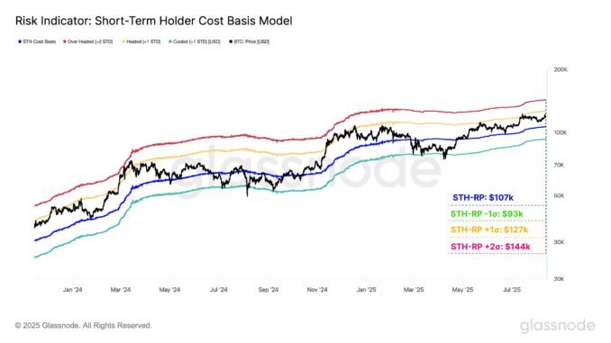 Bitcoin STH Cost Basis Model