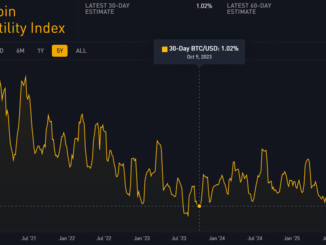 Bitcoin Volatility Index