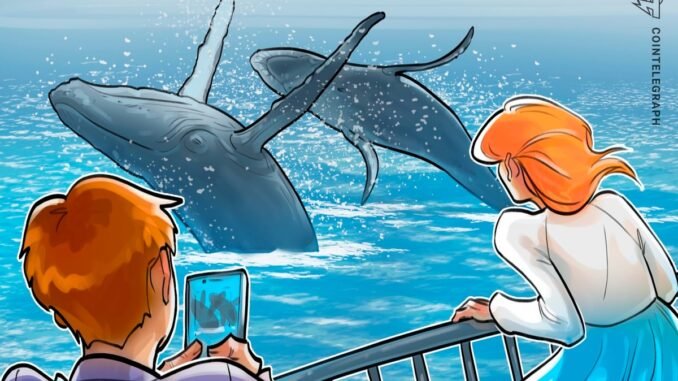 Bitcoin Whales Buy Ether After ETH Price Hits Record Highs