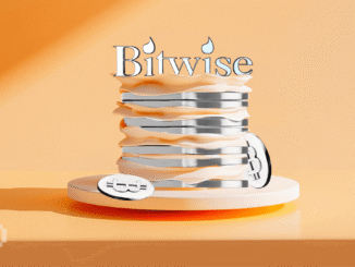 Bitwise Says Institutions Are Overlooking Crypto’s Biggest Advantage
