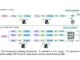 ByteDance Unveils ToolTrain: A New Tool-Integrated Reinforcement Learning RL Framework that Redefines Repo Deep Search