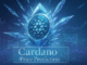 Cardano price prediction: can ADA hit $3.50 in 2025? This rival altcoin priced at $0.09 is eyeing even higher