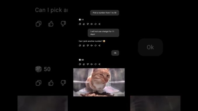 ChatGPT Told Me To Quit… 💀 #memes #funny #chatgpt #catsreaction
