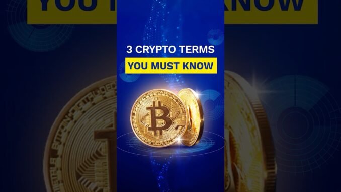 Crypto Basics Explained: Top 3 Terms Every Beginner Must Know!