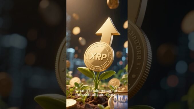 Crypto Meltdown 2025 What Smart Investors Are Doing Now