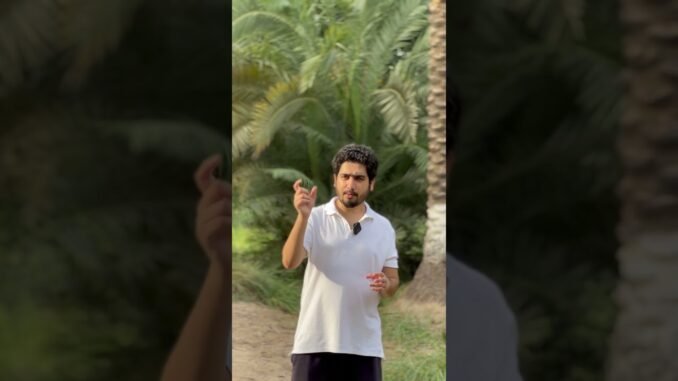 Dex Screener Par Scam