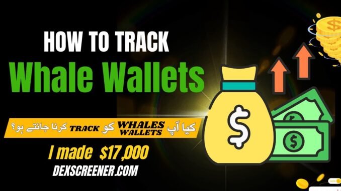 📊DexScreener pe Whale Wallet Tracking | Pump hone wale Coins Pehle hi Capture Karein