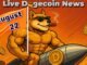 Dogecoin Live News Today: Latest Insights for Doge Lovers (August 22)