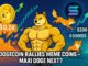 Dogecoin Sparks Meme Coin Surge as $SOL Passes $200 – Could Maxi Doge Ride the Wave?